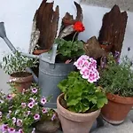 Der Breinhof - Euer Urlaubsbauernhof * 瓦尔德基兴