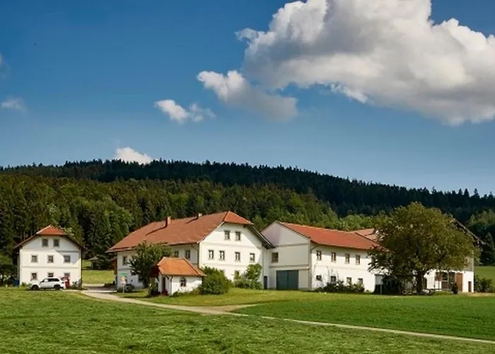 Der Breinhof - Euer Urlaubsbauernhof 瓦尔德基兴