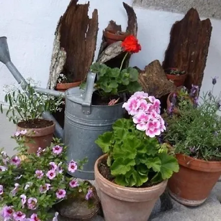 Der Breinhof - Euer Urlaubsbauernhof * Waldkirchen